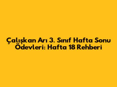 Çalışkan Arı 3. Sınıf Hafta Sonu Ödevleri: Hafta 18 Rehberi