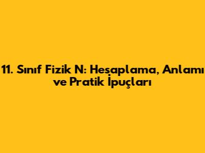 11. Sınıf Fizik N: Hesaplama, Anlamı ve Pratik İpuçları