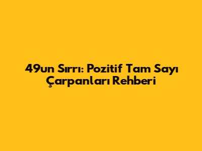 49'un Sırrı: Pozitif Tam Sayı Çarpanları Rehberi
