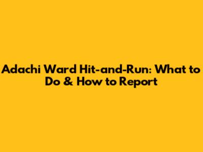 Adachi Ward Hit-and-Run: What to Do & How to Report