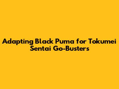 Adapting Black Puma for Tokumei Sentai Go-Busters