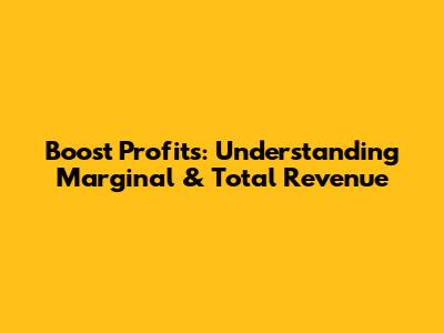 Boost Profits: Understanding Marginal & Total Revenue