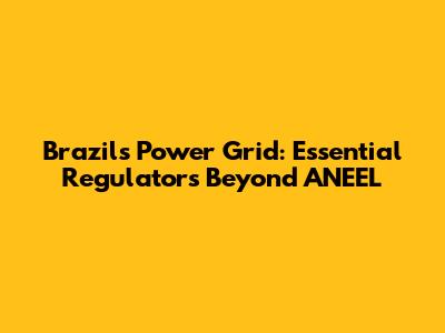 Brazil's Power Grid: Essential Regulators Beyond ANEEL