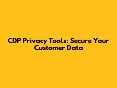 CDP Privacy Tools: Secure Your Customer Data