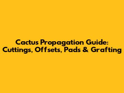 Cactus Propagation Guide: Cuttings, Offsets, Pads & Grafting
