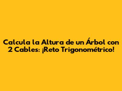 Calcula la Altura de un Árbol con 2 Cables: ¡Reto Trigonométrico!