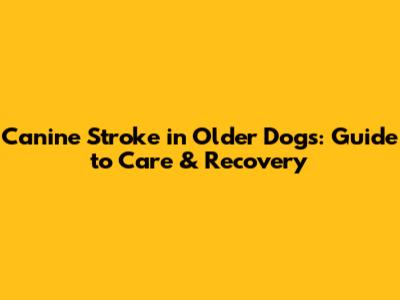 Canine Stroke in Older Dogs: Guide to Care & Recovery