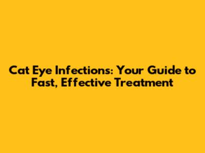 Cat Eye Infections: Your Guide to Fast, Effective Treatment