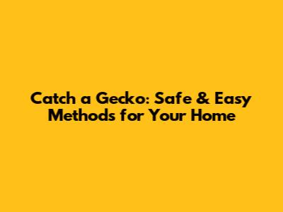 Catch a Gecko: Safe & Easy Methods for Your Home