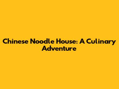 Chinese Noodle House: A Culinary Adventure