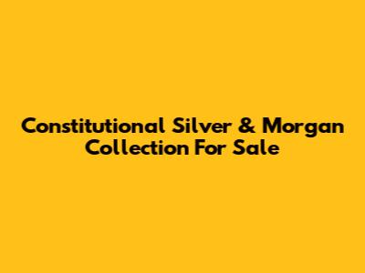Constitutional Silver & Morgan Collection For Sale