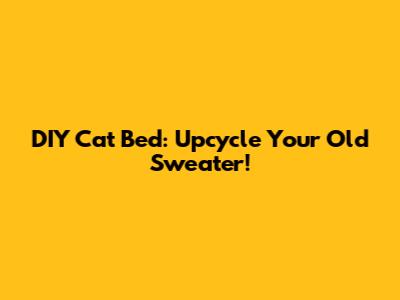 DIY Cat Bed: Upcycle Your Old Sweater!