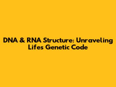 DNA & RNA Structure: Unraveling Life's Genetic Code