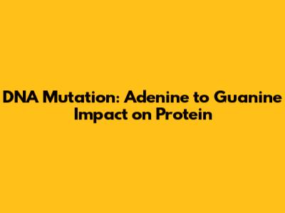 DNA Mutation: Adenine to Guanine Impact on Protein