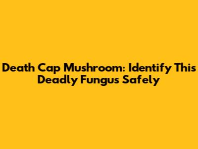 Death Cap Mushroom: Identify This Deadly Fungus Safely