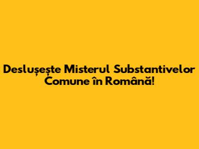Deslușește Misterul Substantivelor Comune în Română!