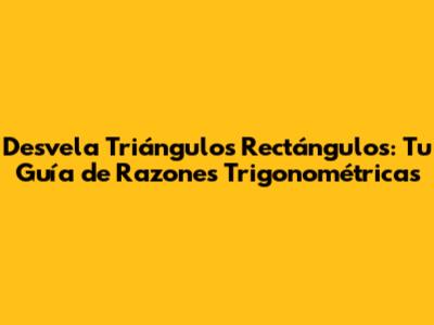Desvela Triángulos Rectángulos: Tu Guía de Razones Trigonométricas