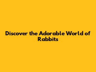 Discover the Adorable World of Rabbits
