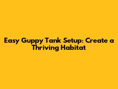 Easy Guppy Tank Setup: Create a Thriving Habitat