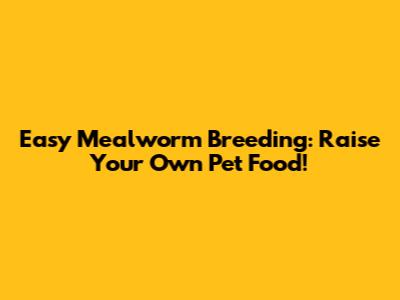 Easy Mealworm Breeding: Raise Your Own Pet Food!