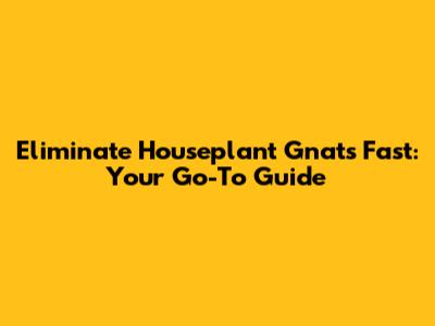 Eliminate Houseplant Gnats Fast: Your Go-To Guide