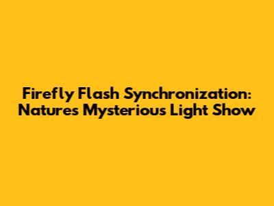 Firefly Flash Synchronization: Nature's Mysterious Light Show
