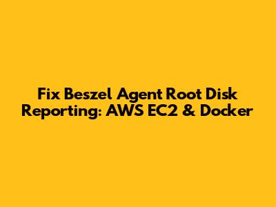 Fix Beszel Agent Root Disk Reporting: AWS EC2 & Docker
