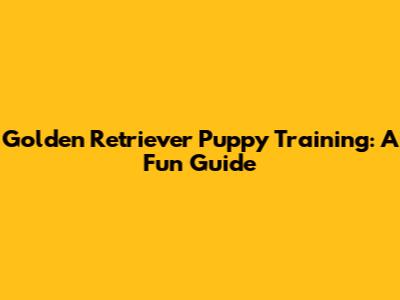 Golden Retriever Puppy Training: A Fun Guide