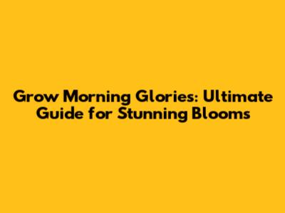 Grow Morning Glories: Ultimate Guide for Stunning Blooms