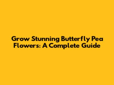 Grow Stunning Butterfly Pea Flowers: A Complete Guide