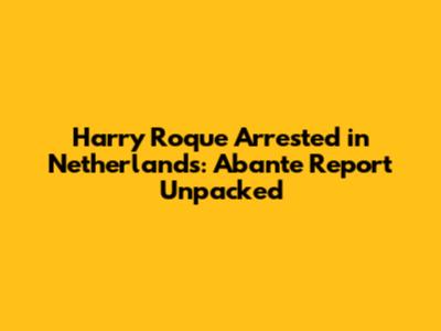Harry Roque Arrested in Netherlands: Abante Report Unpacked