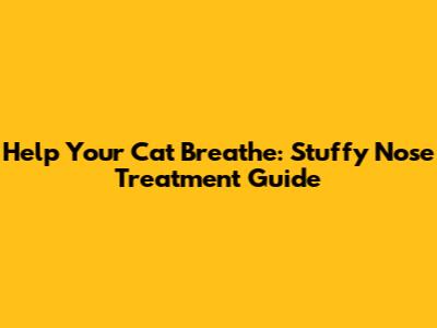 Help Your Cat Breathe: Stuffy Nose Treatment Guide