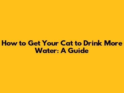 How to Get Your Cat to Drink More Water: A Guide