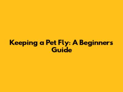 Keeping a Pet Fly: A Beginner's Guide