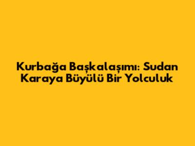 Kurbağa Başkalaşımı: Sudan Karaya Büyülü Bir Yolculuk