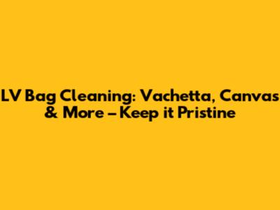 LV Bag Cleaning: Vachetta, Canvas & More – Keep it Pristine