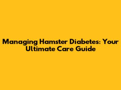 Managing Hamster Diabetes: Your Ultimate Care Guide