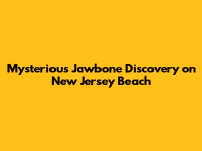 Mysterious Jawbone Discovery on New Jersey Beach