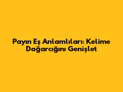Payın Eş Anlamlıları: Kelime Dağarcığını Genişlet