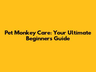 Pet Monkey Care: Your Ultimate Beginner's Guide
