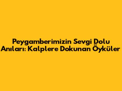 Peygamberimizin Sevgi Dolu Anıları: Kalplere Dokunan Öyküler