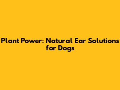 Plant Power: Natural Ear Solutions for Dogs