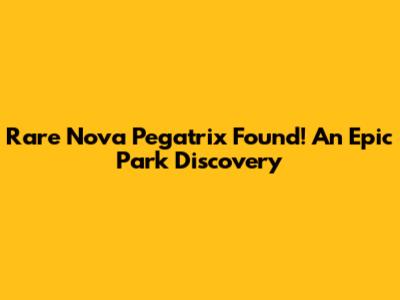 Rare Nova Pegatrix Found! An Epic Park Discovery