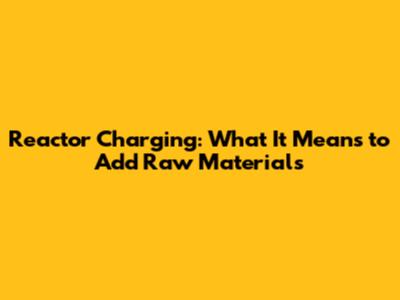 Reactor Charging: What It Means to Add Raw Materials