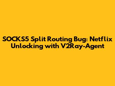 SOCKS5 Split Routing Bug: Netflix Unlocking with V2Ray-Agent