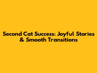 Second Cat Success: *Joyful* Stories & Smooth Transitions