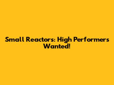 Small Reactors: High Performers Wanted!