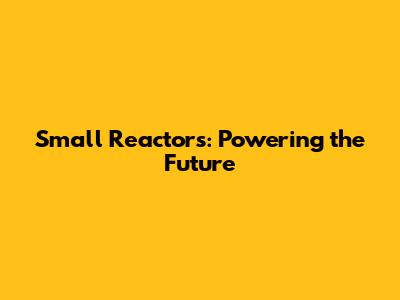 Small Reactors: Powering the Future