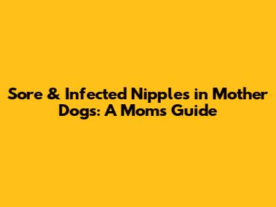 Sore & Infected Nipples in Mother Dogs: A Mom's Guide