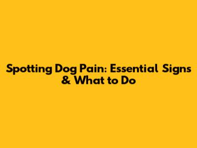 Spotting Dog Pain: Essential Signs & What to Do